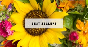 Beautiful Seasonal Flowers Banner